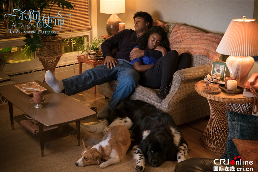 《一条狗的使命》携手版海报 暴走漫画助阵声