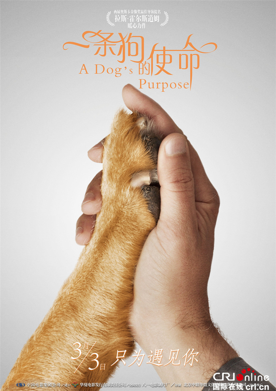 《一条狗的使命》携手版海报 暴走漫画助阵声