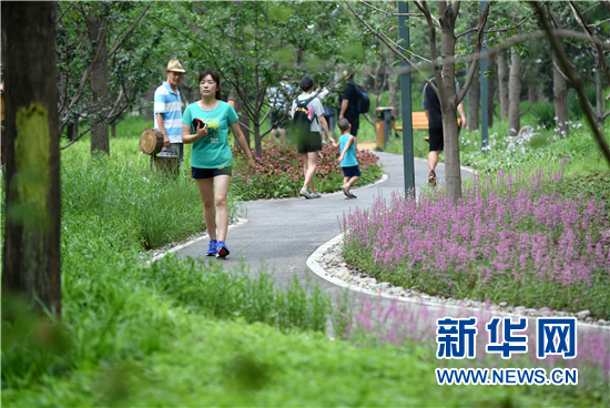 北京东城区第一处城市森林公园建成开放（图）