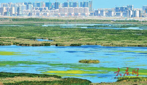 大庆：生态文明建设的“绿色答卷”