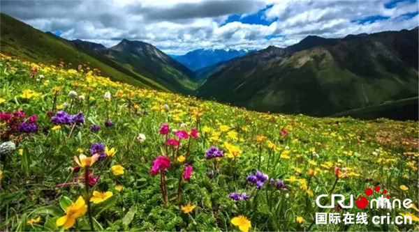 图片默认标题_fororder_5、木雅圣地风光--甘孜州旅游发展委员会-供图