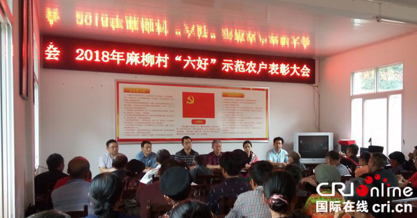 图片默认标题_fororder_表彰大会现场