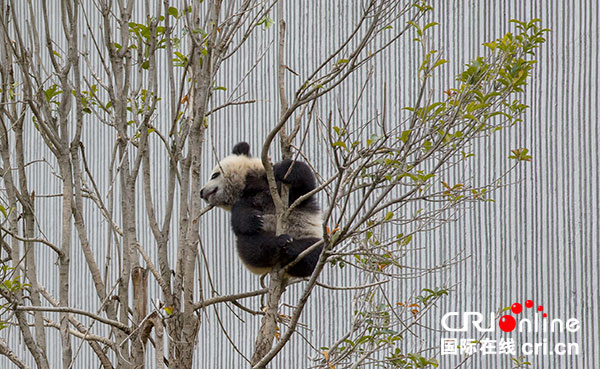 图片默认标题_fororder_5