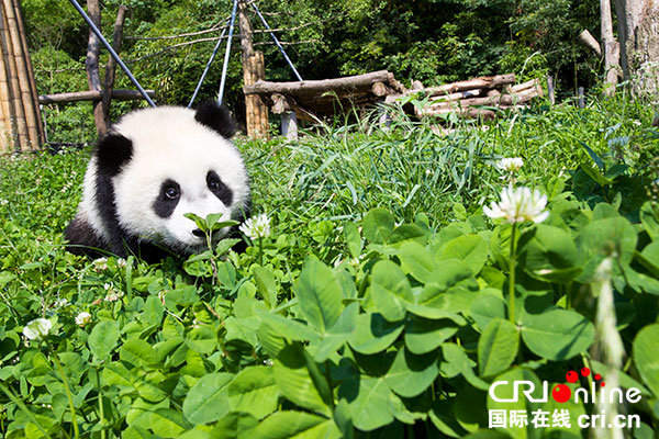 图片默认标题_fororder_8