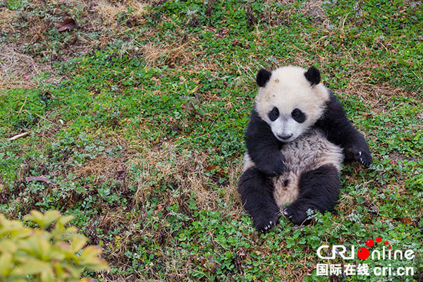 图片默认标题_fororder_7