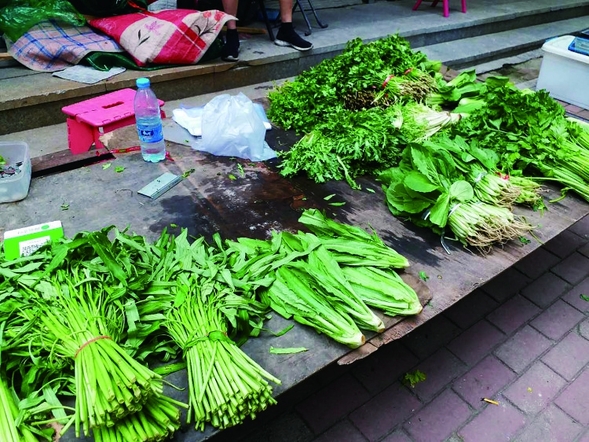 受连续降水影响 哈尔滨青菜价格上涨