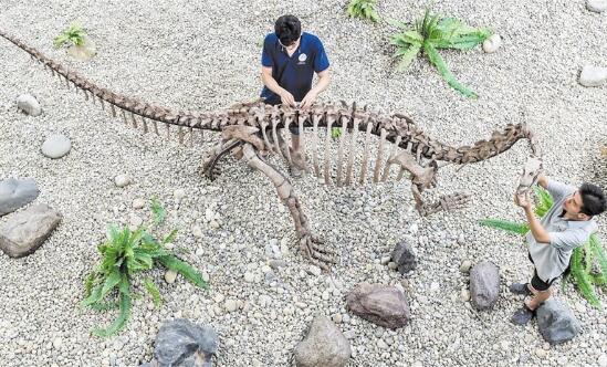 （焦点图，导航成都，移动端）成都这家博物馆成为暑期档市民小孩最受追捧明星