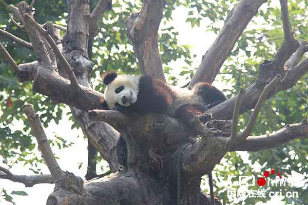 图片默认标题_fororder_2