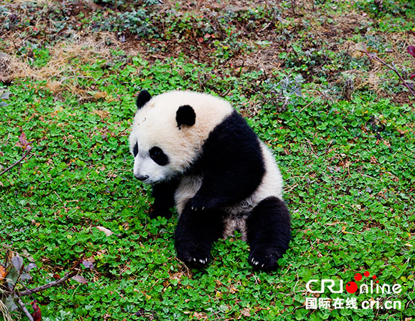 图片默认标题_fororder_3