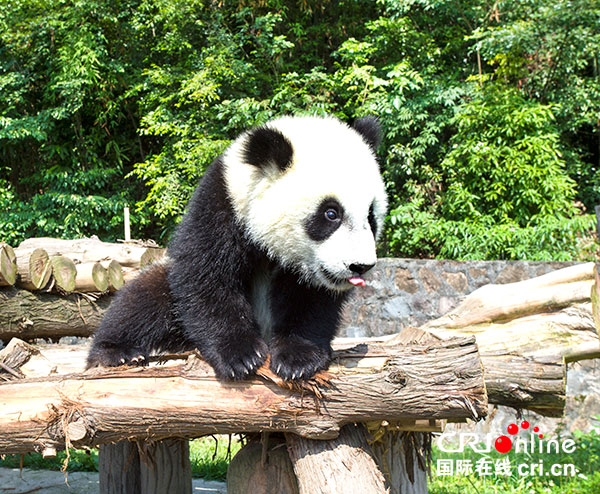 图片默认标题_fororder_4