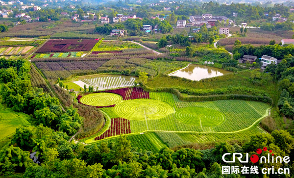 图片默认标题_fororder_新建的“花旋风”湿地公园