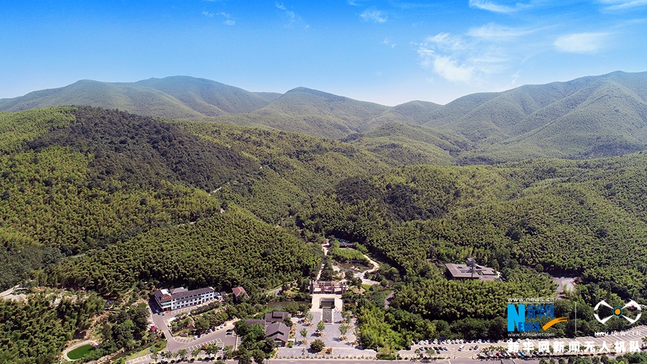 航拍宜兴竹海：夏日当空 绿影铺地