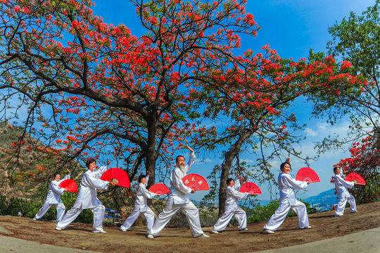 （导航攀枝花，移动端）书记访谈 | 攀枝花市委书记李建勤：全力做好“钒钛、阳光”两篇文章，为推动治蜀兴川再上新台阶贡献攀枝花力量