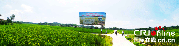 图片默认标题_fororder_1