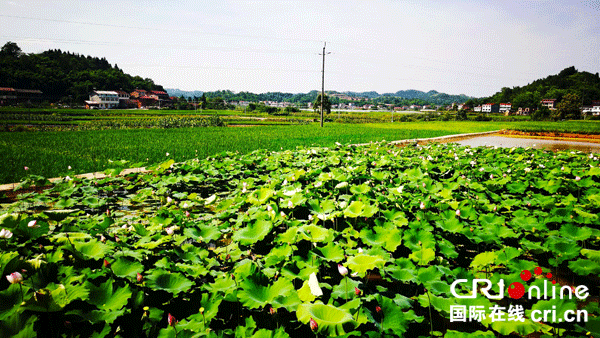 图片默认标题_fororder_2