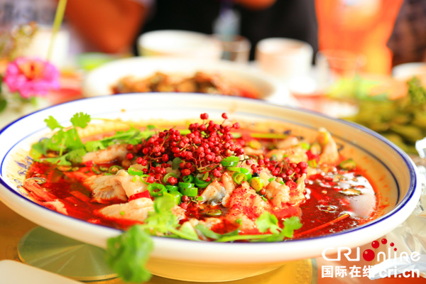 图片默认标题_fororder_汉源特色——花椒宴（摄影：葛旺）