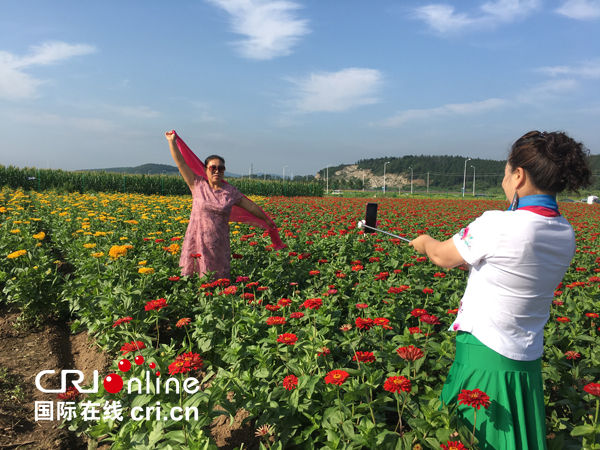 世茂2018中国长春莲花山首届花海艺术节精彩瞬间