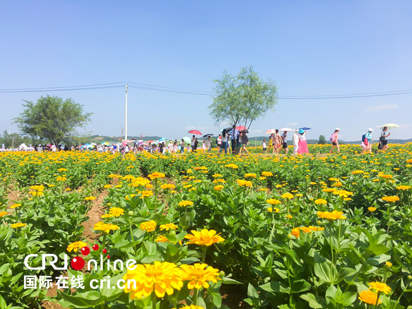 世茂·2018中国长春莲花山首届花海艺术节启幕开幕式当天游客突破2