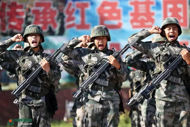 这一年,中国陆军干了很多大事