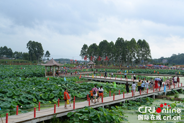 图片默认标题_fororder_游客赏荷(摄影肖开丰)