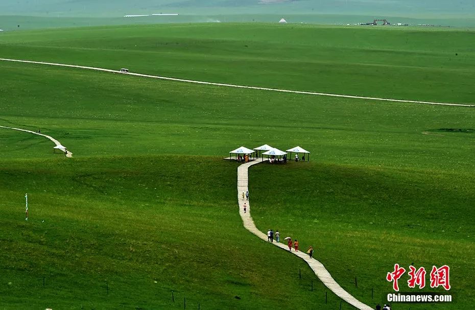 天苍苍野茫茫……盛夏 这里有内蒙古大草原最美的样子