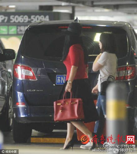 李湘太壕了 10多万爱马仕包各种颜色都有一个