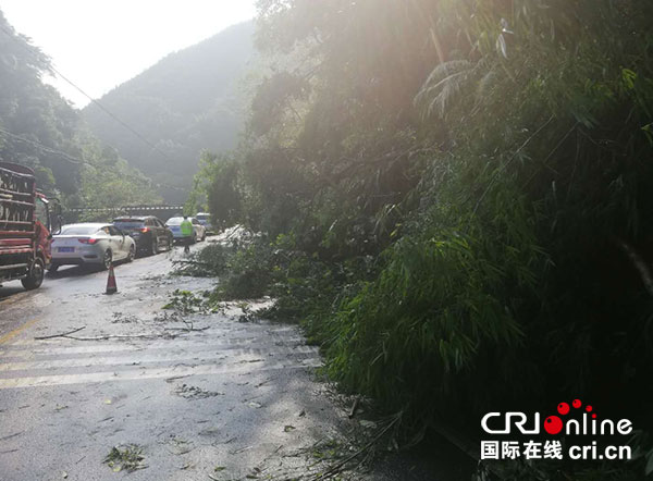 图片默认标题_fororder_1