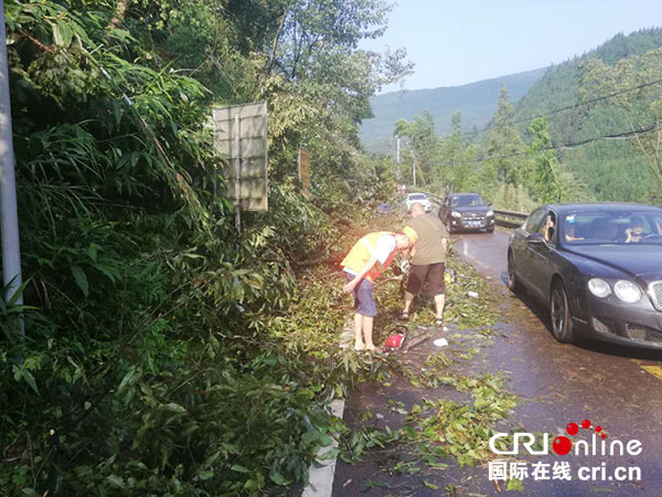 图片默认标题_fororder_2