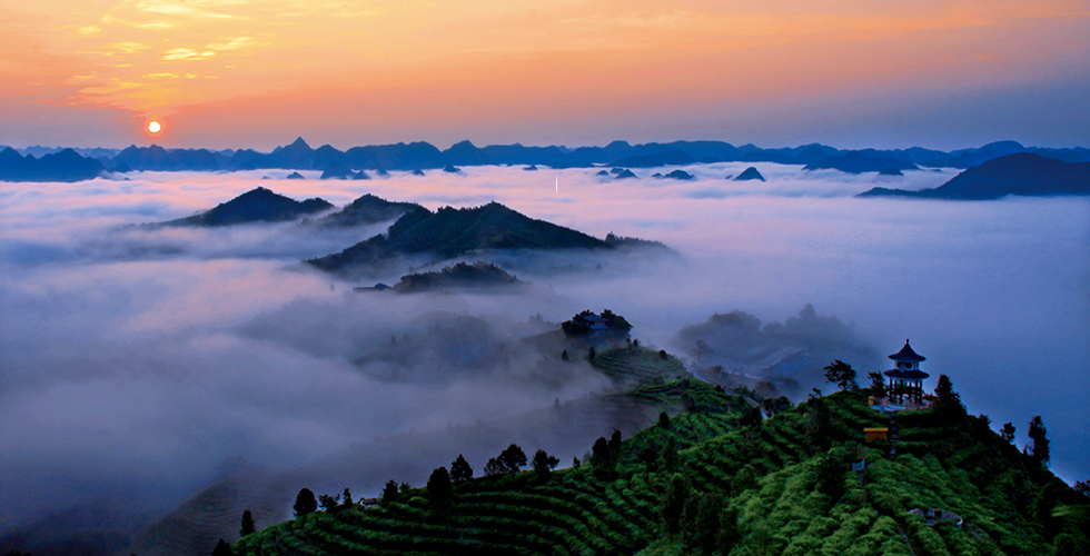 云雾中的凌云茶山