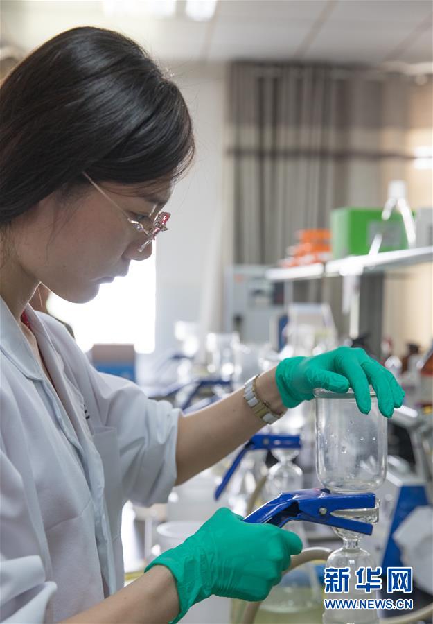 保护中华鲟 保护中华鲟