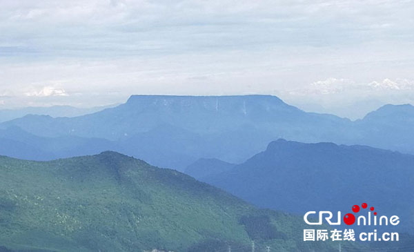 图片默认标题_fororder_1