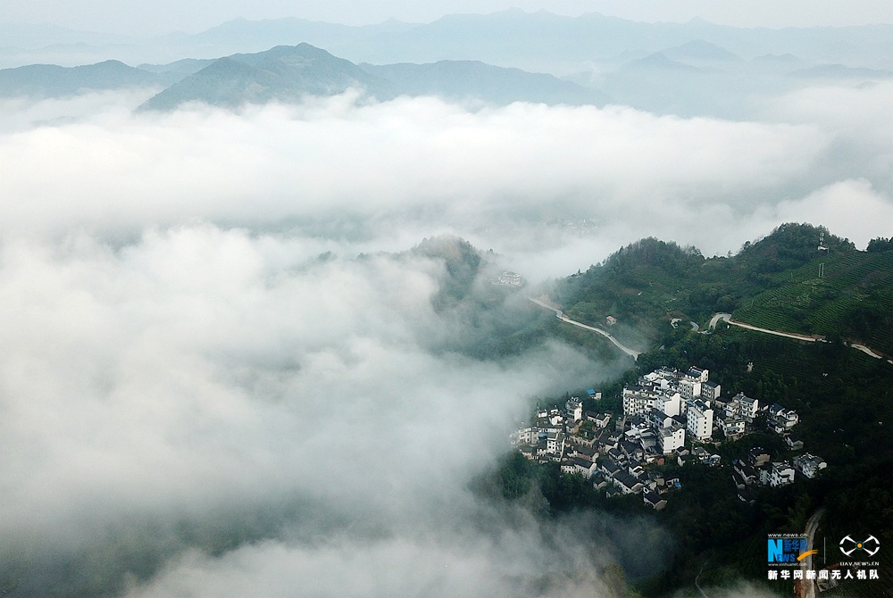 航拍安徽:石潭云海山中绕 葵花盛开竞妖娆 航拍安徽:石潭云海山中绕 葵花盛开竞妖娆
