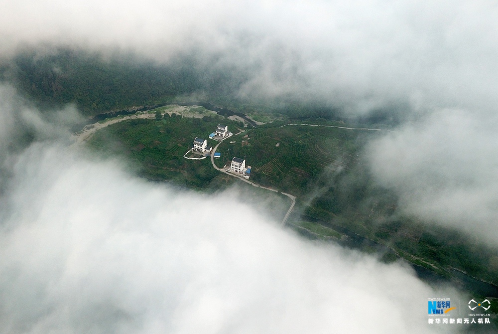 航拍安徽:石潭云海山中绕 葵花盛开竞妖娆 航拍安徽:石潭云海山中绕 葵花盛开竞妖娆