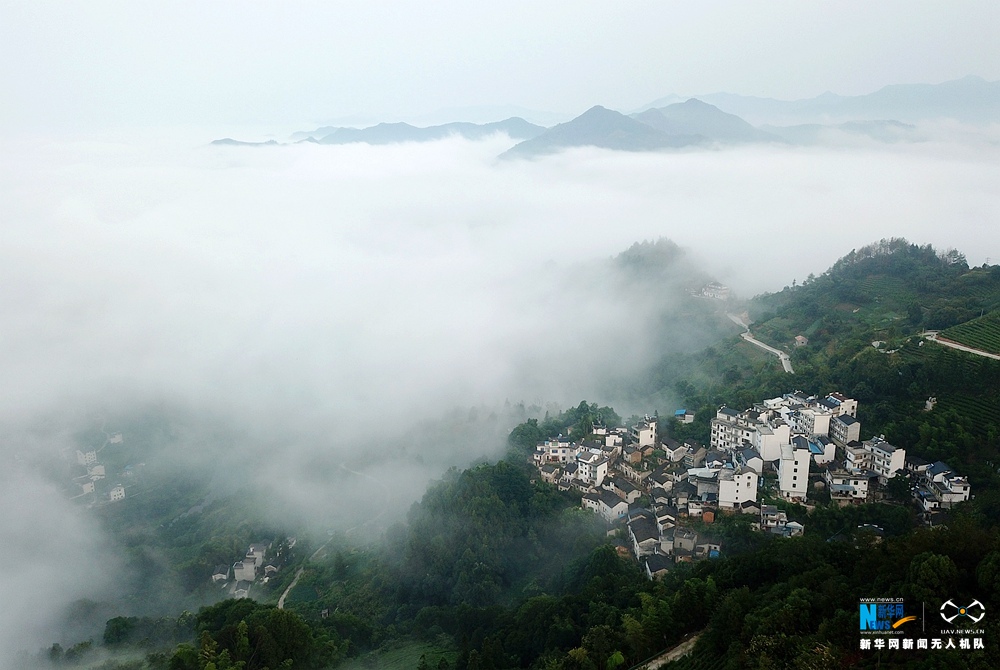 航拍安徽:石潭云海山中绕 葵花盛开竞妖娆 航拍安徽:石潭云海山中绕 葵花盛开竞妖娆