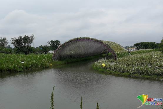 （导航德阳）德阳市旌阳区：打造田园综合体 助推群众增收
