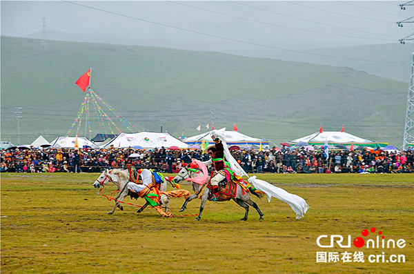 图片默认标题_fororder_5、精彩的赛马活动