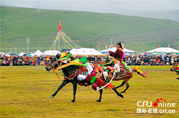 图片默认标题_fororder_3、骑手们英姿飒爽-各展风采--摄影--张黎萍