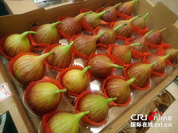 图片默认标题_fororder_未标题5