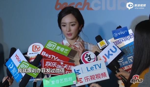 杨幂：与刘亦菲约好不开撕 会支持电影版(图)