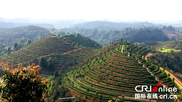 图片默认标题_fororder_2