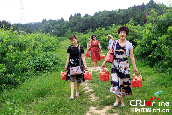 图片默认标题_fororder_石牛胭脂脆桃采摘