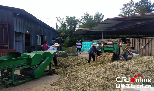 图片默认标题_fororder_加工现场