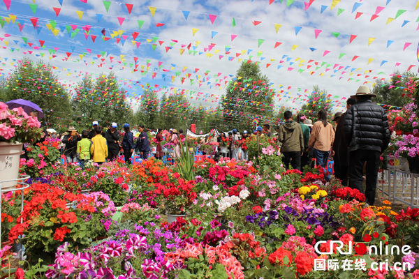 图片默认标题_fororder_花卉展