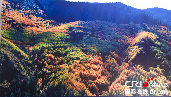 图片默认标题_fororder_6、新龙县皮擦七彩林风光-供图-新龙县委宣传部