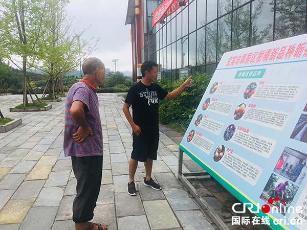 图片默认标题_fororder_陈方乾（右）正在给村民陈统业（左）讲解柑橘种植知识（摄影-赵晨希）