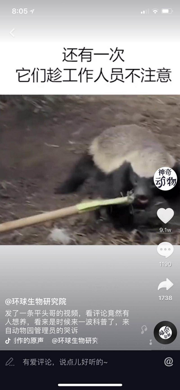网友在抖音“开动物园”,趣味科普广受好评 网友在抖音“开动物园”,趣味科普广受好评