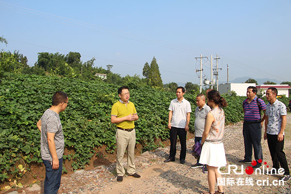 图片默认标题_fororder_2