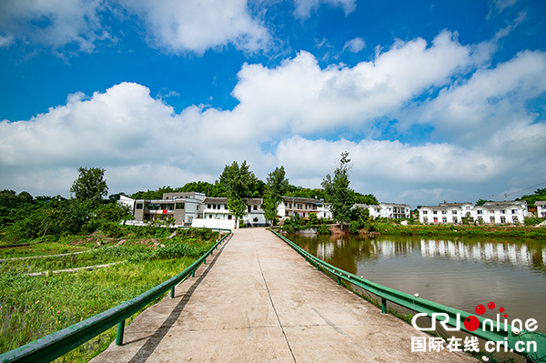 图片默认标题_fororder_3宽敞整洁的乡村道路（摄影-廖志全）