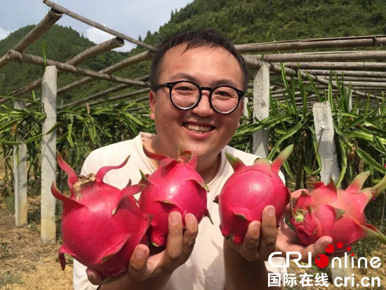 贵州思南精品水果进入成熟期成“甜蜜产业”