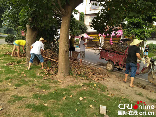 图片默认标题_fororder_李庄镇环境卫生大扫除